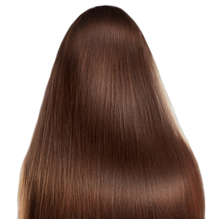 Exclusive  Summer Collection